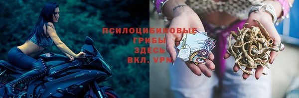марихуана Богородицк