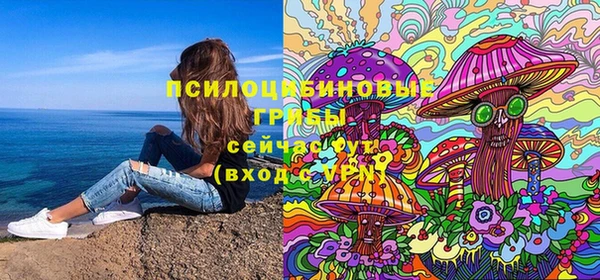 гидропоника Богданович